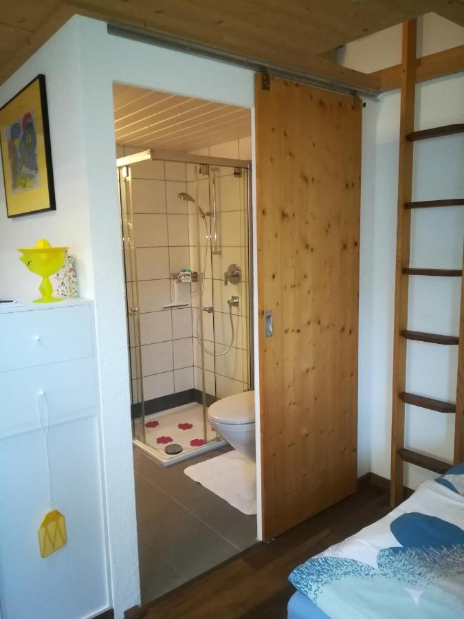 Montanara Apartment Meiringen Bagian luar foto