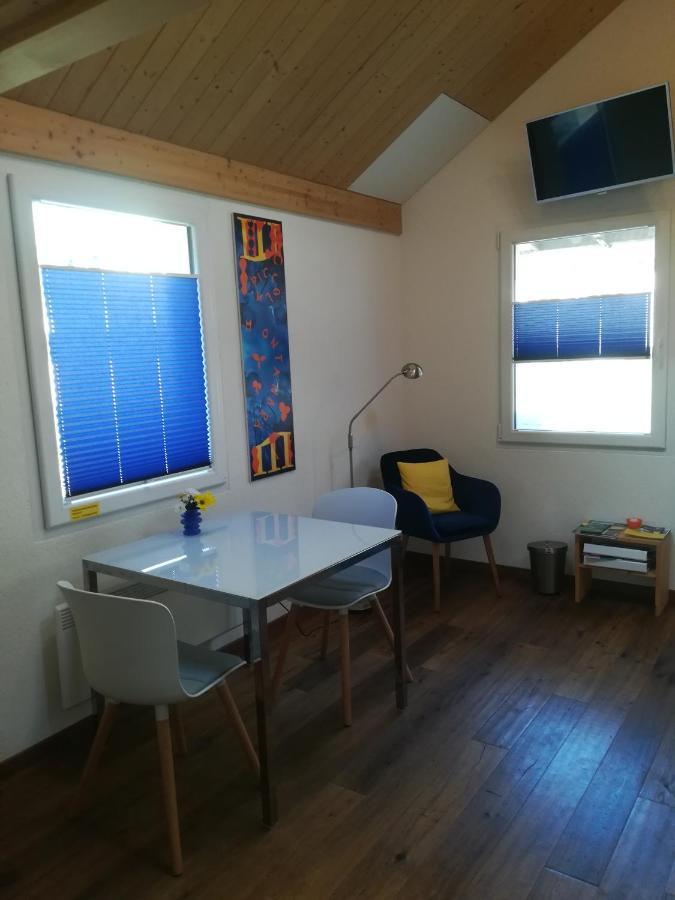 Montanara Apartment Meiringen Bagian luar foto