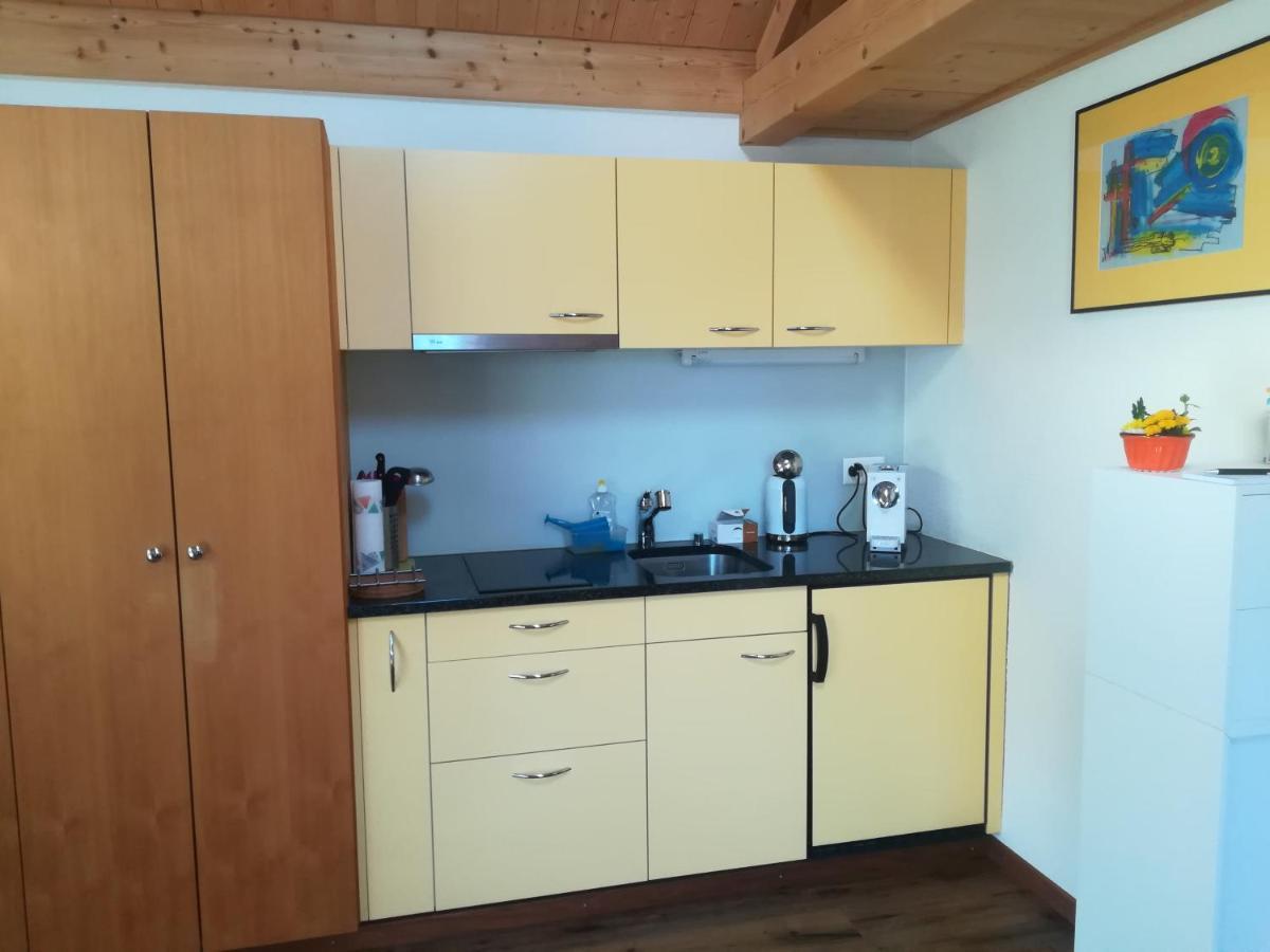 Montanara Apartment Meiringen Bagian luar foto